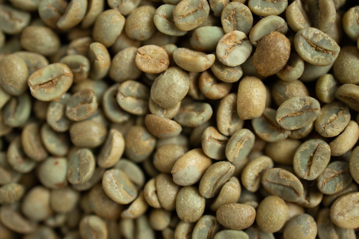 Granos de café verde sin tostar, de cerca