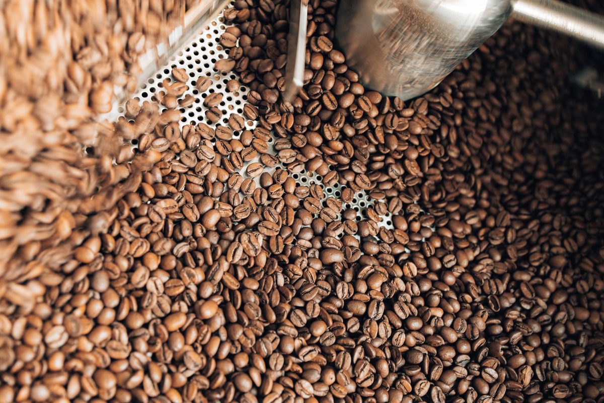 Granos de café tostado medio