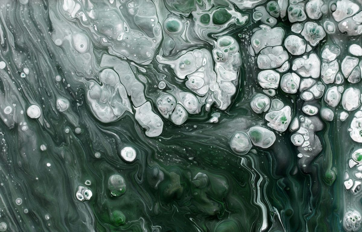 Muestra observada al microscopio, con estructuras celulares en gris