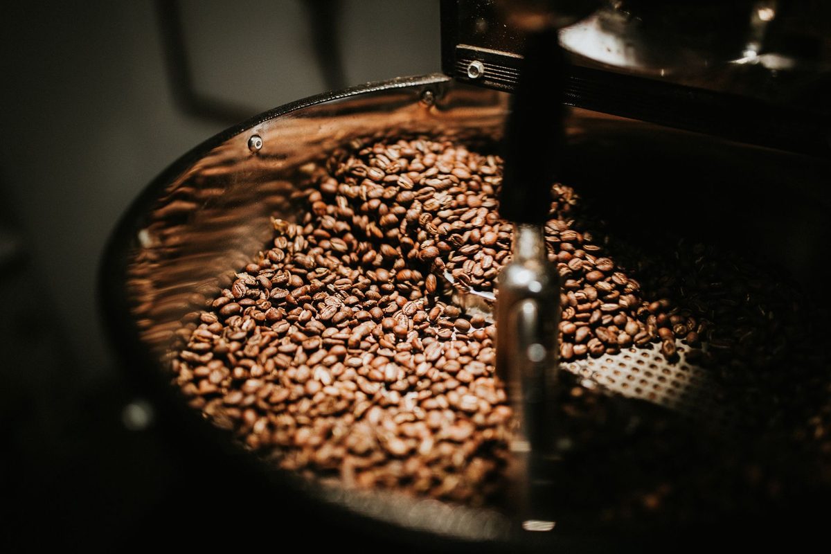 Granos de café de altura recién tostados