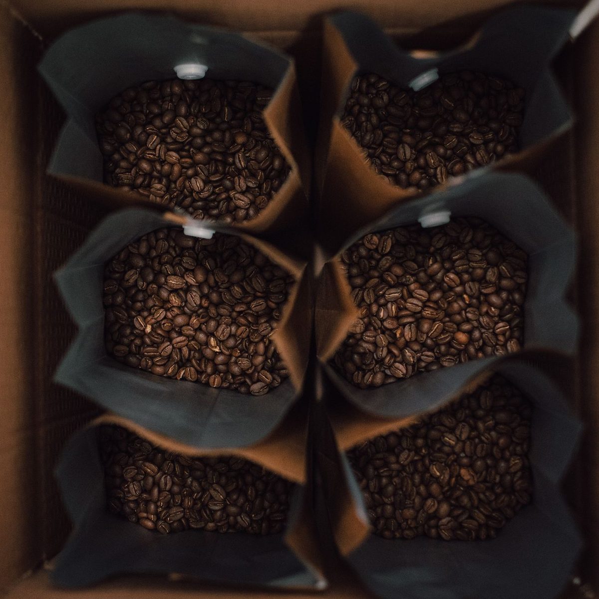 Granos de café en una caja de regalo